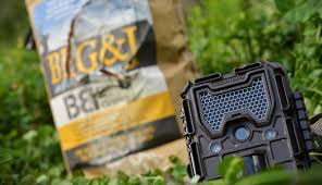 how to set up a trail camera 